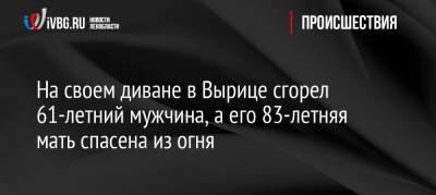 На своем диване в Вырице сгорел 61-летний мужчина, а его 83-летняя мать спасена из огня - ivbg.ru - Ленинградская обл. - район Гатчинский