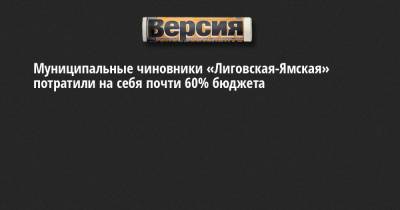 Муниципальные чиновники «Лиговская-Ямская» потратили на себя почти 60% бюджета - neva.versia.ru