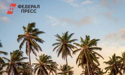 Где хотят отдохнуть россияне: пять популярных направлений - fedpress.ru - Москва - Египет - Испания - Таиланд