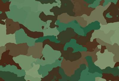 Военнослужащий сбежал из части в Ленобласти - online47.ru - Ленинградская обл. - Краснодарский край - Всеволожск - р-н Выборгский - Кавказ