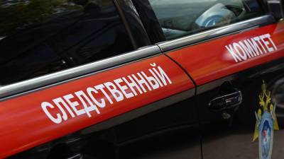 Подростка заподозрили в убийстве девушки-инвалида в Нижегородской области - iz.ru - Нижегородская обл.