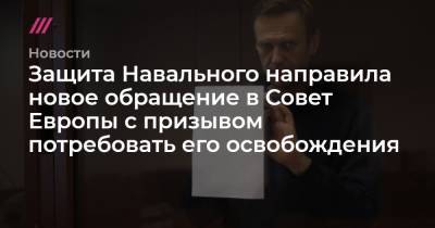 Ольга Михайлова - Защита Навального направила новое обращение в Совет Европы с призывом потребовать его освобождения - tvrain.ru