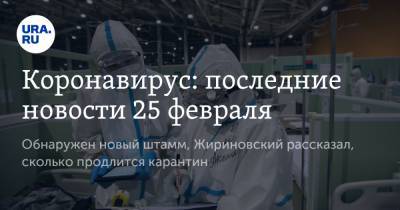 Коронавирус: последние новости 25 февраля. Обнаружен новый штамм, Жириновский рассказал, сколько продлится карантин - ura.news - Бразилия - Литва - Ухань