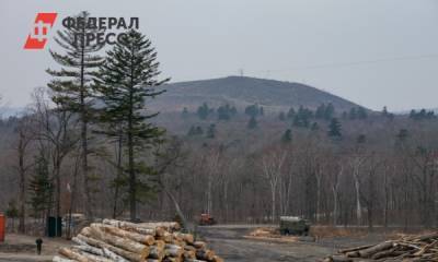 Юрий Трутнев - Щепки летят: для чего создают лесную госкомпанию на Дальнем Востоке - fedpress.ru