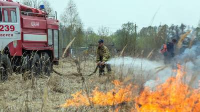 Сергей Аноприенко - Госдума планирует повысить штрафы за лесные пожары в 10 раз - iz.ru