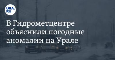Роман Вильфанд - В Гидрометцентре объяснили погодные аномалии на Урале - ura.news
