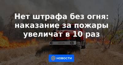 Нет штрафа без огня: наказание за пожары увеличат в 10 раз - news.mail.ru - Кемеровская обл.