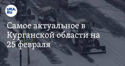 Самое актуальное в Курганской области на 25 февраля. В больницы поставят новое оборудование, силовики обыскали Фонд соцстрахования - ura.news - Курганская обл.