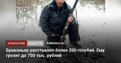 Браконьер расстрелял более 200 голубей. Ему грозит штраф до 750 тыс. рублей - kubnews.ru - Краснодарский край - район Туапсинский