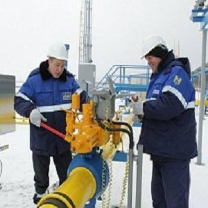 Замерзающую Европу спасает Газпром - webnovosti.info - Австрия