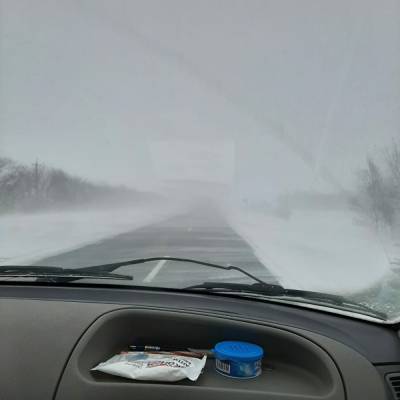 Вадим Шумков - Власти Курганской области заявили, что все последствия бурана ликвидированы - znak.com - Курганская обл.