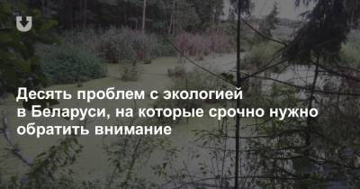 Десять проблем с экологией в Беларуси, на которые срочно нужно обратить внимание - news.tut.by - Минск - Строительство