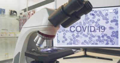 Максим Степанов - За сутки количество новых зараженных COVID-19 в Украине возросло более, чем на 2 тысячи - delo.ua