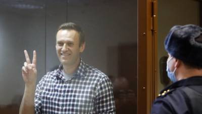 Алексей Навальный - Ольга Михайлова - Защита Навального направила новое обращение в Совет Европы - svoboda.org