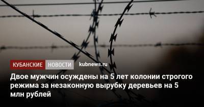 Двое мужчин осуждены на 5 лет колонии строгого режима за незаконную вырубку деревьев на 5 млн рублей - kubnews.ru - Краснодарский край - респ. Адыгея - Майкоп