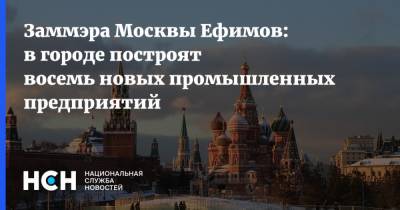 Владимир Ефимов - Заммэра Москвы Ефимов: в городе построят восемь новых промышленных предприятий - nsn.fm - Москва