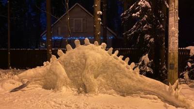 В Комарово поселились тираннозавры из снега - piter.tv - Санкт-Петербург