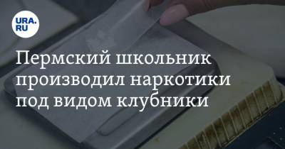 Пермский школьник производил наркотики под видом клубники - ura.news - Пермь - Пермский край