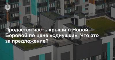 Продается часть крыши в Новой Боровой по цене «однушки». Что это за предложение? - news.tut.by - Минск - Строительство