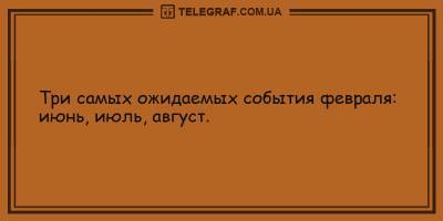 Лев Толстой - Анекдоты на день 25 февраля, которые подарят улыбку - ТЕЛЕГРАФ - telegraf.com.ua