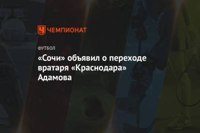 Денис Адамов - «Сочи» объявил о переходе вратаря «Краснодара» Адамова - championat.com - Сочи - Краснодар