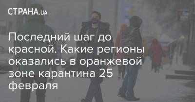 Последний шаг до красной. Какие регионы оказались в оранжевой зоне карантина 25 февраля - strana.ua - Киевская обл. - Луганская обл. - Запорожская обл. - Ивано-Франковская обл. - Винницкая обл. - Тернопольская обл. - Житомирская обл. - Закарпатская обл. - Донецкая обл.