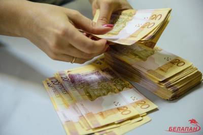 Средняя зарплата в Минске в январе снизилась до 710 долларов - naviny.by - Минск