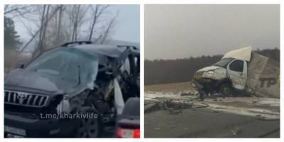 Машины разбросало по дороге как кегли: страшная авария всколыхнула Харьковщину, кадры - kharkov.politeka.net - Харьков