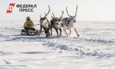 Ямальские кочевники отправились на Камчатку возрождать оленеводство - fedpress.ru - Салехард - окр. Янао