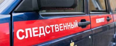 В Башкирии за год число изнасилований выросло на 188% - runews24.ru - Башкирия