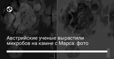 Австрийские ученые вырастили микробов на камне с Марса: фото - liga.net - Австрия - Украина