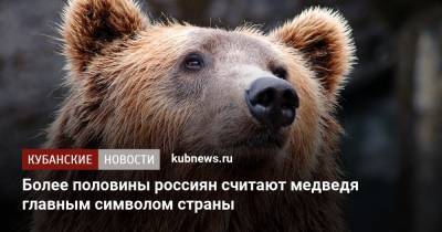 Более половины россиян считают медведя главным символом страны - kubnews.ru - Россия