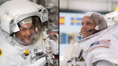 NASA выбрало астронавтов для полета на корабле SpaceX Crew-4 - techno.bigmir.net
