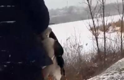 Браконьер от безделья начал пальбу по беззащитным птицам в Запорожье: вопиющие кадры - politeka.net - Одесса - Запорожье