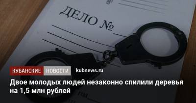 Двое молодых людей незаконно спилили деревья на 1,5 млн рублей - kubnews.ru - Краснодарский край - район Новокубанский