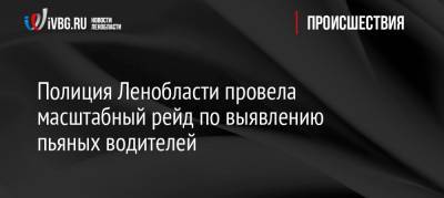 Полиция Ленобласти провела масштабный рейд по выявлению пьяных водителей - ivbg.ru - Ленинградская обл. - Санкт-Петербург - Петербург
