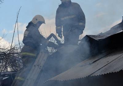 В 2020 году на пожарах в Рязанской области погибло 76 человек - ya62.ru - Рязанская обл.