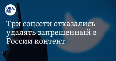 Владимир Путин - Екатерина Мизулина - Три соцсети отказались удалять запрещенный в России контент. Что с ними будет? - ura.news