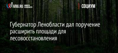 Губернатор Ленобласти дал поручение расширить площади для лесовосстановления - ivbg.ru - Ленинградская обл.