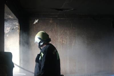 С начала 2021 года в Рязанской области на пожарах погибли 13 человек - rzn.mk.ru - Рязанская обл.