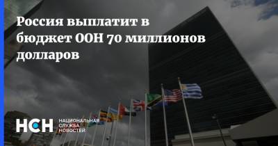 Россия выплатит в бюджет ООН 70 миллионов долларов - nsn.fm - Россия