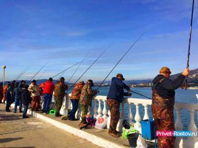 Рыба из Юго-Восточной Азии мигрировала в Азовское море - privet-rostov.ru - Япония - Вьетнам - Корея - Тайвань