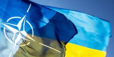 Владимир Зеленский - Йенс Столтенберг - Украина приблизится к получению Плана членства в НАТО, если примет закон о реформе СБУ - ТЕЛЕГРАФ - telegraf.com.ua