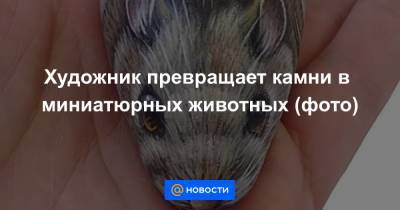 Екатерина Гура - Художник превращает камни в миниатюрных животных (фото) - news.mail.ru - Испания