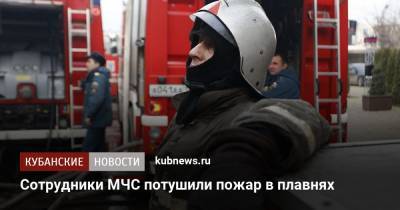 Сотрудники МЧС потушили пожар в плавнях - kubnews.ru - Краснодарский край