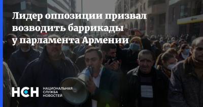 Никола Пашинян - Ишхан Сагателян - Вазген Манукян - Лидер оппозиции призвал возводить баррикады у парламента Армении - nsn.fm - Армения - Ереван - Нагорный Карабах