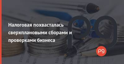 Алексей Любченко - Налоговая похвасталась сверхплановыми сборами и проверками бизнеса - thepage.ua