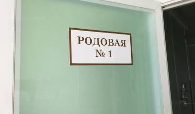 В Красноярске арестовали проходящих по делу о торговле младенцами - newizv.ru - Красноярский край - Красноярск - респ. Хакасия