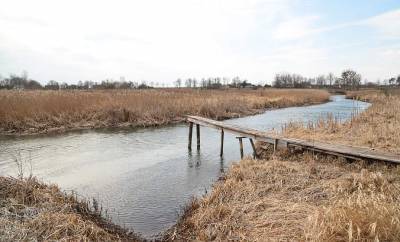 Republican hydrological reserve "Miranka": unremarkable secrets and beauties - grodnonews.by - Belarus