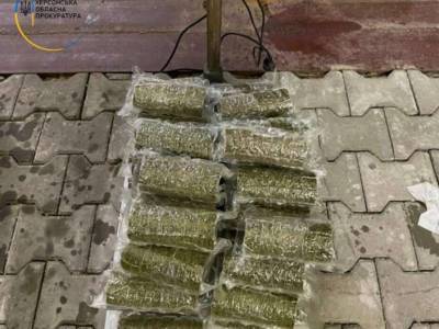 Житель Херсона хотел провезти 20 кг каннабиса в Россию через Крым - lenta.ua - Крым - Херсон